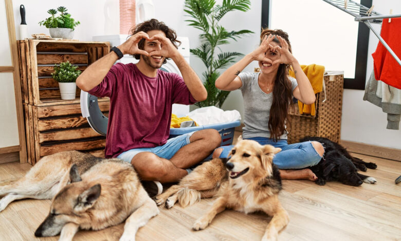 Renting a House with Pets: Pet Policies and Pet-Friendly Features